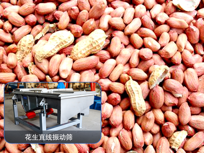 花生直線振動(dòng)篩